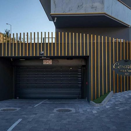 Luxury Apartment Domiel 斯普利特 外观 照片